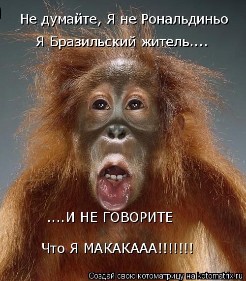 Котоматрица: Не думайте, Я не Рональдиньо Я Бразильский житель.... ....И НЕ ГОВОРИТЕ Что Я МАКАКААА!!!!!!! Что Я МАКАКААА!!!!!!!