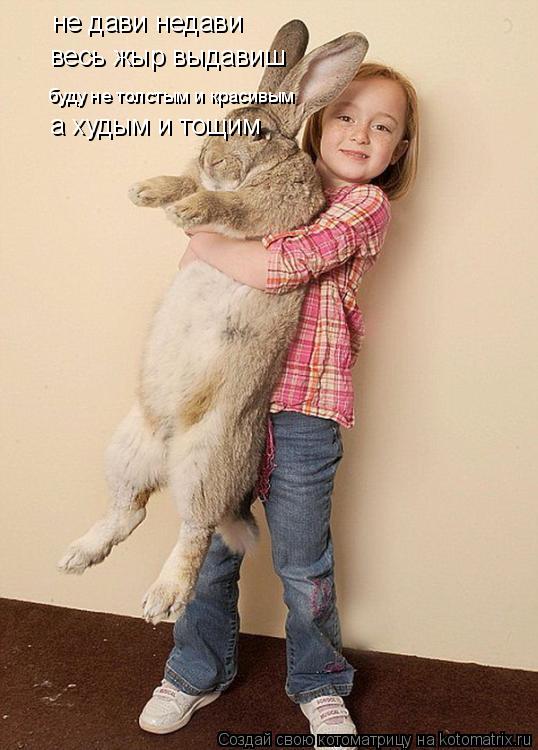 не дави недави весь жыр выдавиш буду не толстым и красивым а худым и тощим... Котоматрица: не дави недави весь жыр выдавиш буду не толстым и красивым а худым и тощим