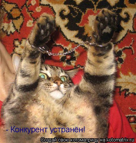 - Конкурент устранён!... Котоматрица: - Конкурент устранён!