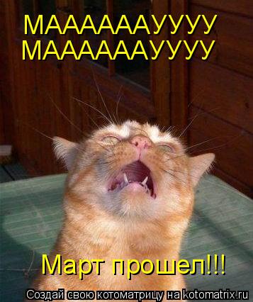 МAAAAAAУУУУ МAAAAAAУУУУ Март прошел!!!... Котоматрица: МAAAAAAУУУУ МAAAAAAУУУУ Март прошел!!!