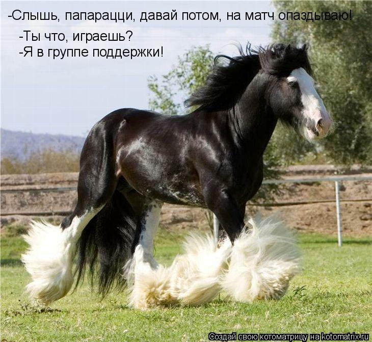 -Ты что, играешь? -Я в группе поддержки! -Слышь, папарацци, давай потом, на матч опаздываю!... Котоматрица: -Ты что, играешь? -Я в группе поддержки! -Слышь, папарацци, давай потом, на матч опаздываю!