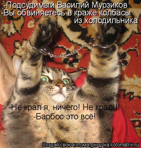 -Подсудимый Василий Мурзиков -Вы обвиняетесь в краже колбасы из холодильника -Не крал я, ничего! Не к... Котоматрица: -Подсудимый Василий Мурзиков -Вы обвиняетесь в краже колбасы из холодильника -Не крал я, ничего! Не крал!!! -Барбос это всё!
