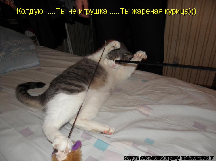 Котоматрица: Колдую......Ты не игрушка......Ты жареная курица)))