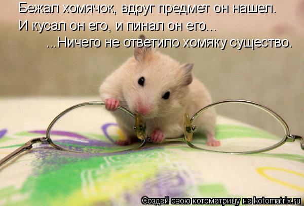 Бежал хомячок, вдруг предмет он нашел. И кусал он его, и пинал он его... ...Ничего не ответило хомяку... Котоматрица: Бежал хомячок, вдруг предмет он нашел. И кусал он его, и пинал он его... ...Ничего не ответило хомяку существо.