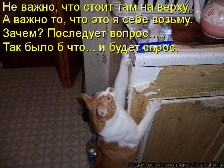 Котоматрица: Не важно, что стоит там на верху, А важно то, что это я себе возьму. Зачем? Последует вопрос….... Так было б что….. и будет спрос.