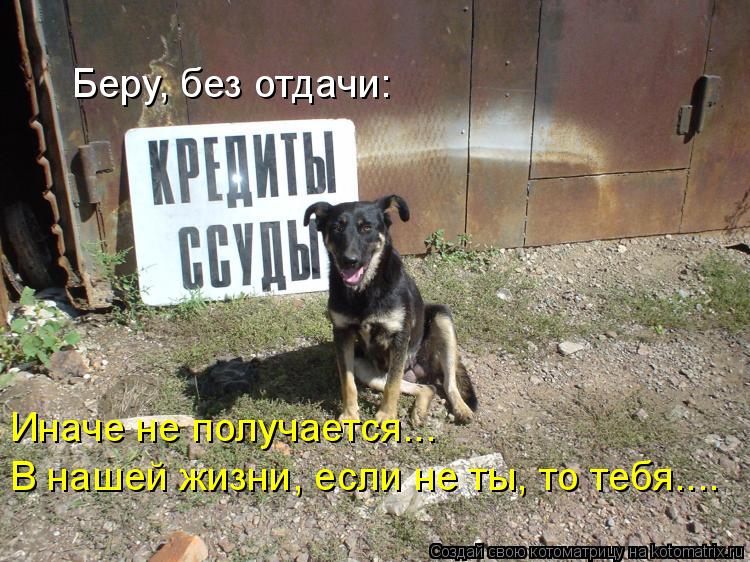Беру, без отдачи: В нашей жизни, если не ты, то тебя…... Иначе не получается…..... Котоматрица: Беру, без отдачи: В нашей жизни, если не ты, то тебя…... Иначе не получается…..