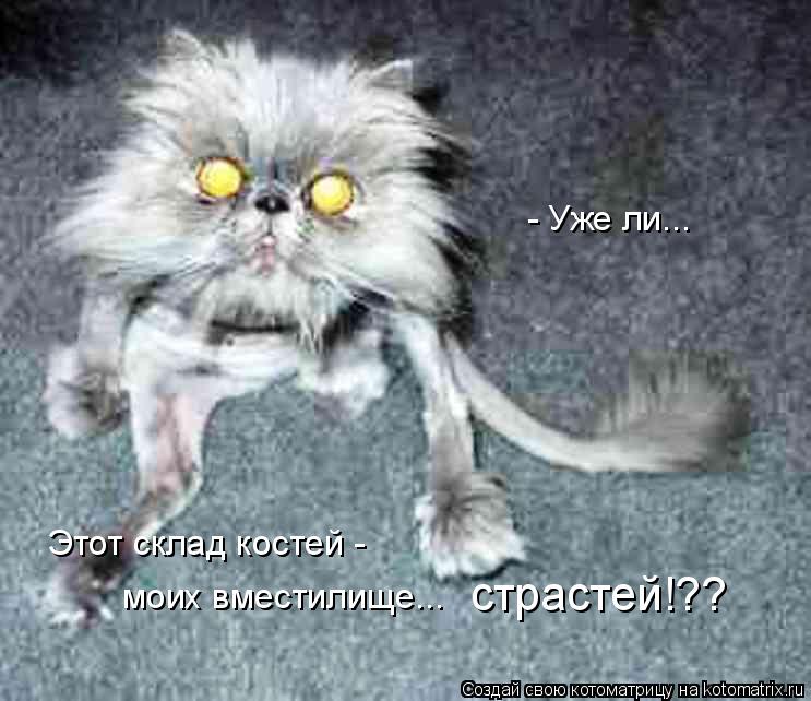 Котоматрица: - Уже ли... моих вместилище...  страстей!?? Этот склад костей -