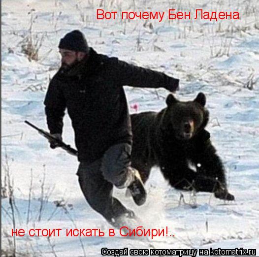 Котоматрица: Вот почему Бен Ладена не стоит искать в Сибири!..