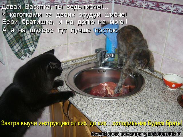 Котоматрица: Бери, братишка,  и  на  долю  на  мою ! Давай, Васятка, ты  ведь гибче!... А  я  на  шухере  тут  лучше  постою. . . И  коготками  за  двоих  орудуй  