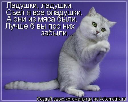 Котоматрица: Ладушки, ладушки. Съел я все оладушки. А они из мяса были. Лучше б вы про них  забыли...