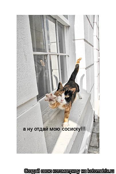 а ну отдай мою сосиску!!!... Котоматрица: а ну отдай мою сосиску!!!