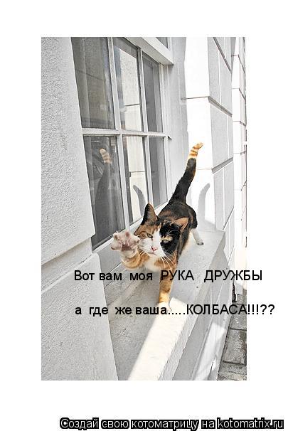 Вот вам моя РУКА ДРУЖБЫ а где же ваша.....КОЛБАСА!!!??... Котоматрица: Вот вам моя РУКА ДРУЖБЫ а где же ваша.....КОЛБАСА!!!??