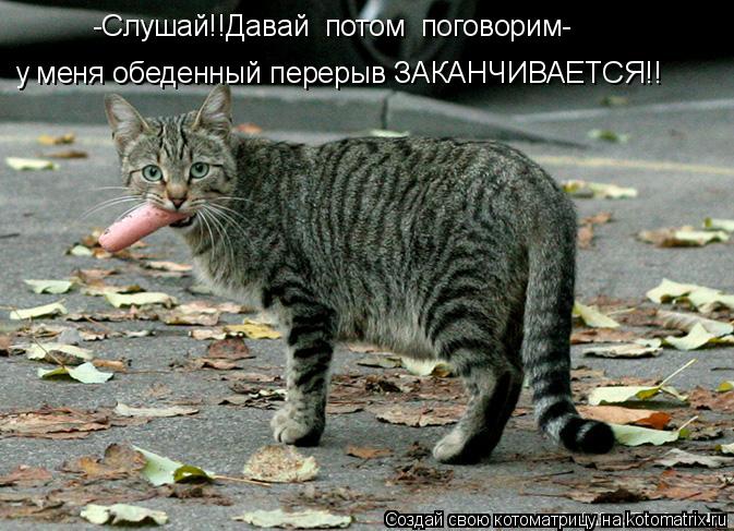-Слушай!!Давай потом поговорим- у меня обеденный перерыв ЗАКАНЧИВАЕТСЯ!!... Котоматрица: -Слушай!!Давай потом поговорим- у меня обеденный перерыв ЗАКАНЧИВАЕТСЯ!!