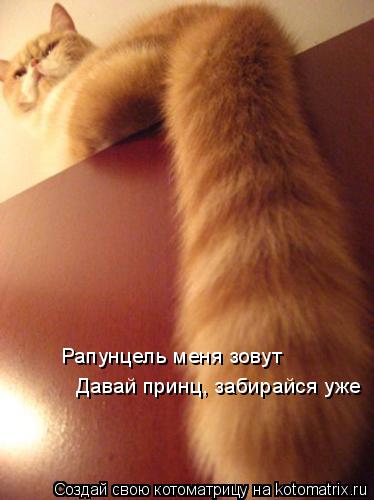 Котоматрица: Рапунцель меня зовут Давай принц, забирайся уже