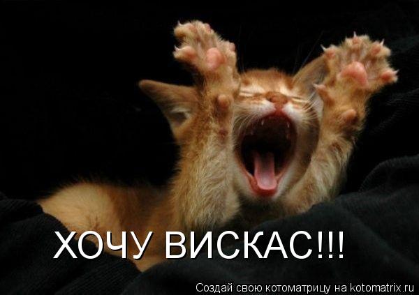 ХОЧУ ВИСКАС!!!... Котоматрица: ХОЧУ ВИСКАС!!!