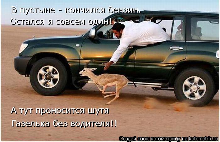 Остался я совсем один! Газелька без водителя!! В пустыне - кончился бензин. А тут проносится шутя... Котоматрица: Остался я совсем один! Газелька без водителя!! В пустыне - кончился бензин. А тут проносится шутя
