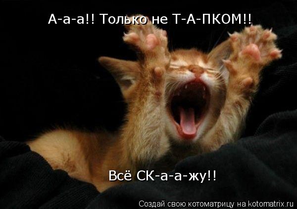 А-а-а!! Только не Т-А-ПКОМ!! Всё СК-а-а-жу!!... Котоматрица: А-а-а!! Только не Т-А-ПКОМ!! Всё СК-а-а-жу!!