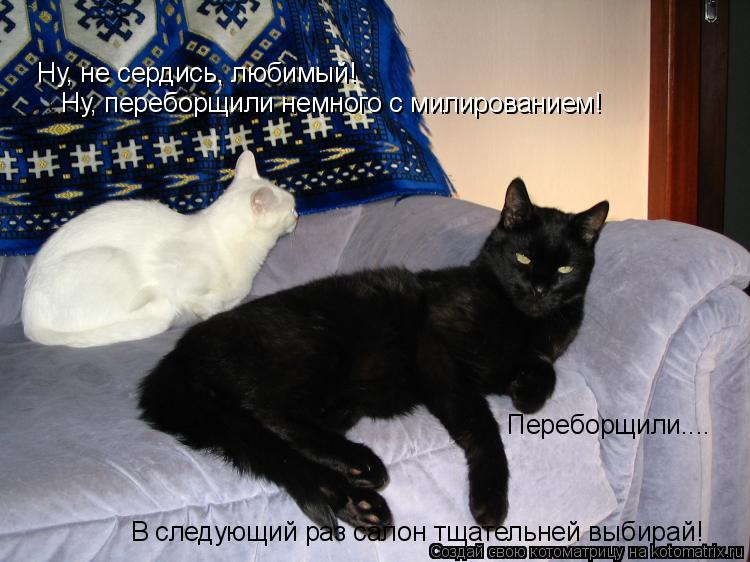 Котоматрица: Ну, не сердись, любимый! Ну, переборщили немного с милированием! Переборщили....  В следующий раз салон тщательней выбирай!