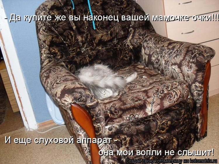 Котоматрица: - Да купите же вы наконец вашей мамочке очки!!! И еще слуховой аппарат -  она мои вопли не слышит!