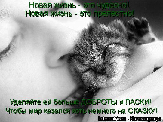Котоматрица: Чтобы мир казался хоть немного на СКАЗКУ! Новая жизнь - это чудесно! Новая жизнь - это прелестно! Уделяйте ей больше ДОБРОТЫ и ЛАСКИ!