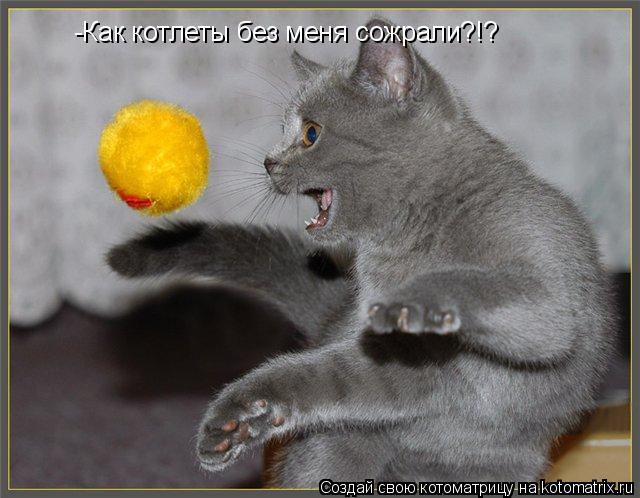 Котоматрица: -Как котлеты без меня сожрали?!?