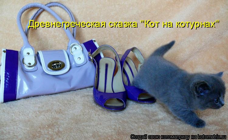 Котоматрица: Древнегреческая сказка "Кот на котурнах"