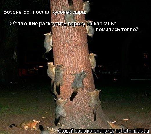 Котоматрица: ломились толпой.. Желающие раскрутить ворону на карканье,  Вороне Бог послал кусочек сыра.