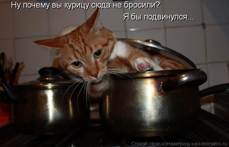 Котоматрица: Ну почему вы курицу сюда не бросили? Я бы подвинулся...