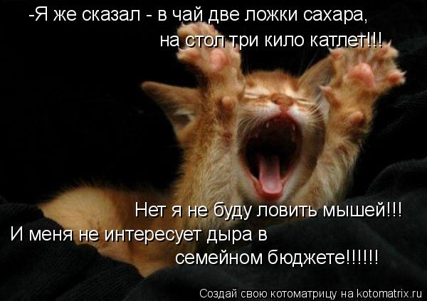 -Я же сказал - в чай две ложки сахара, на стол три кило катлет!!! И меня не интересует дыра в семей... Котоматрица: -Я же сказал - в чай две ложки сахара, на стол три кило катлет!!! И меня не интересует дыра в семейном бюджете!!!!!! Нет я не буду ловить мышей!!!