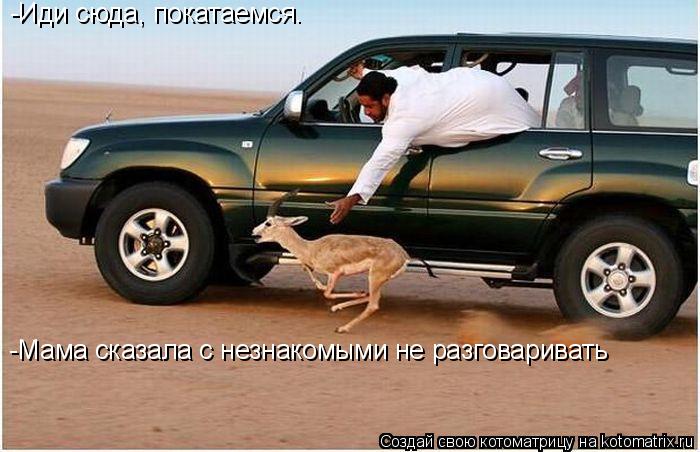 -Иди сюда, покатаемся. -Мама сказала с незнакомыми не разговаривать... Котоматрица: -Иди сюда, покатаемся. -Мама сказала с незнакомыми не разговаривать