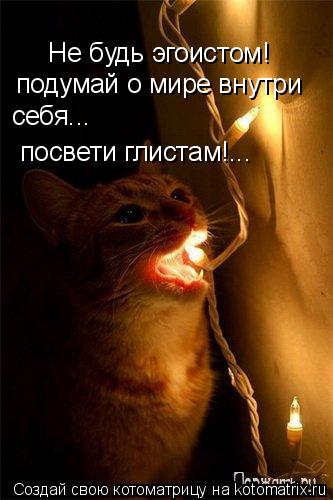 Котоматрица: Не будь эгоистом! подумай о мире внутри себя... посвети глистам!...