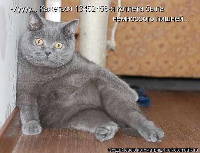 Котоматрица: -Ууууу... Кажеться 13452456-я котлета была  немноооого лишней...