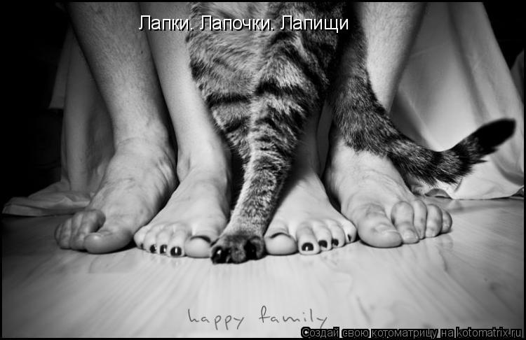 Котоматрица: Лапки. Лапочки. Лапищи