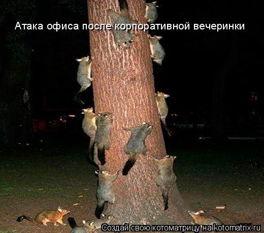 Котоматрица: Атака офиса после корпоративной вечеринки