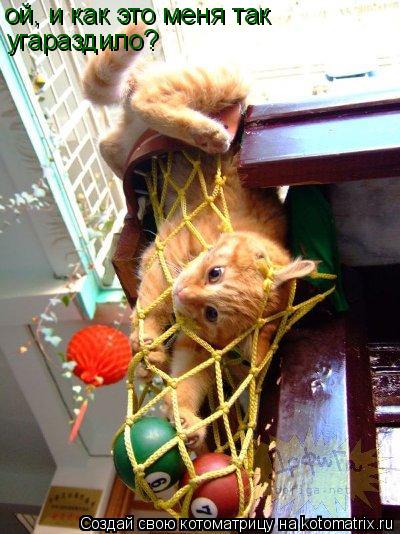 ой, и как это меня так угараздило?... Котоматрица: ой, и как это меня так угараздило?
