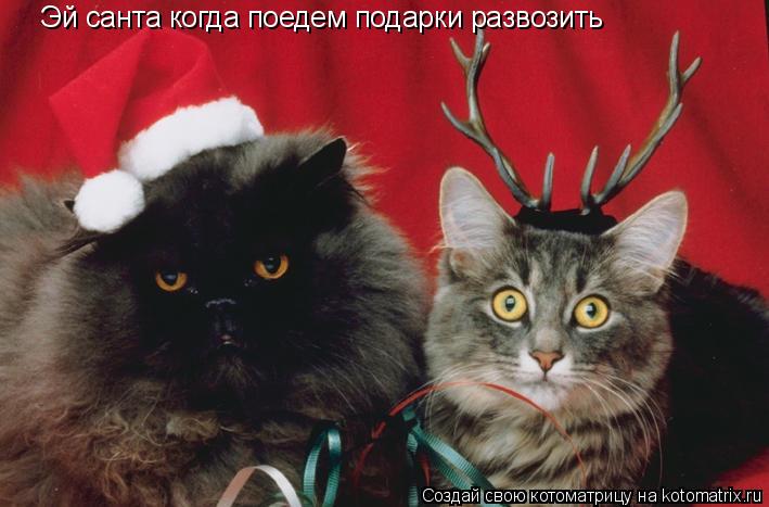 Котоматрица: Эй санта когда поедем подарки развозить