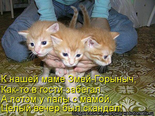 Котоматрица: А потом у папы с мамой, Целый вечер был скандал! К нашей маме Змей-Горыныч, Как-то в гости забегал.