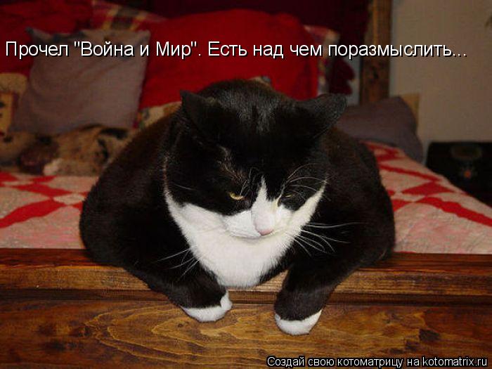 Котоматрица: Прочел "Война и Мир". Есть над чем поразмыслить...