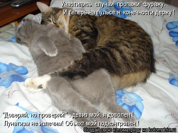 Котоматрица: Участились  случаи  пропажи  фуражу… И теперь на пульсе я  конечности держу ! "Доверяй, но проверяй!" – девиз мой, я доволен !  Лунатизм не изле