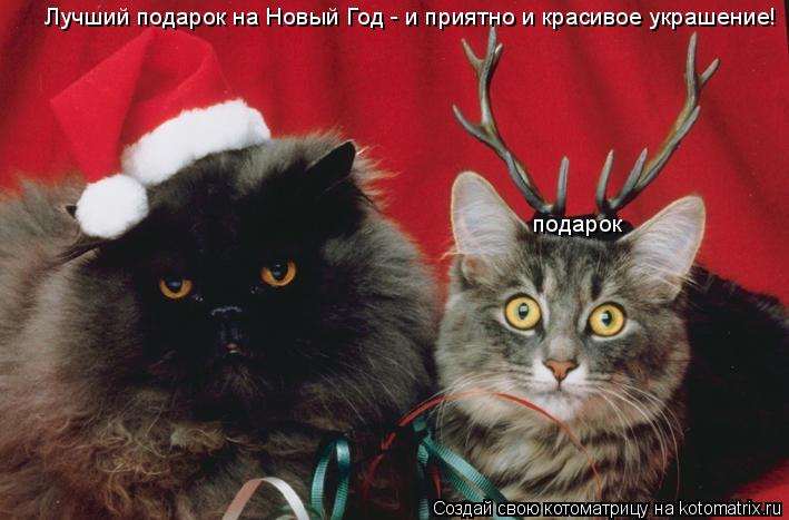 Лучший подарок на Новый Год - и приятно и красивое украшение! подарок... Котоматрица: Лучший подарок на Новый Год - и приятно и красивое украшение! подарок