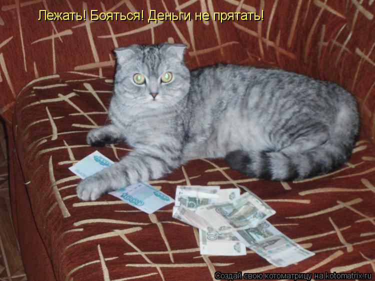 Лежать! Бояться! Деньги не прятать!... Котоматрица: Лежать! Бояться! Деньги не прятать!