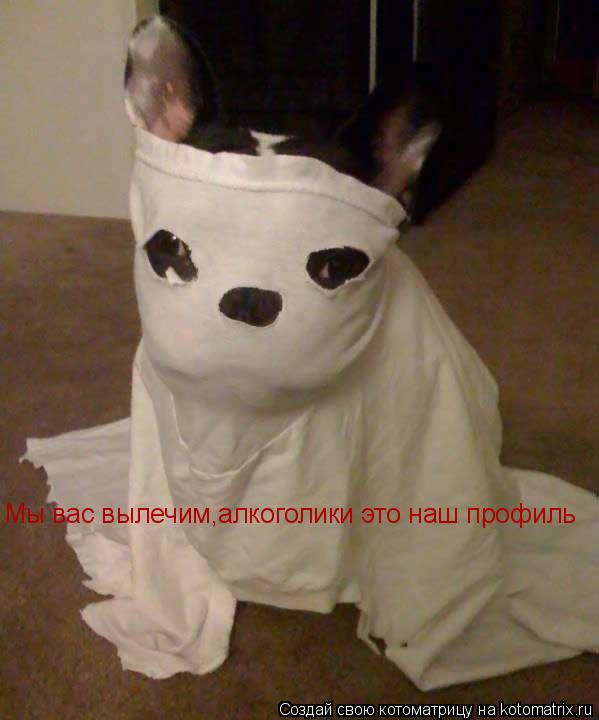 Котоматрица: Мы вас вылечим,алкоголики это наш профиль Мы вас вылечим,алкоголики это наш профиль