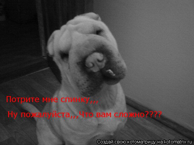 Потрите мне спинку,,, Потрите мне спинку,,, Ну пожалуйста,,,Что вам сложно????... Котоматрица: Потрите мне спинку,,, Потрите мне спинку,,, Ну пожалуйста,,,Что вам сложно????