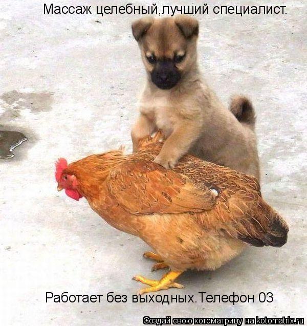 Котоматрица: Массаж целебный,лучший специалист. Работает без выходных.Телефон 03