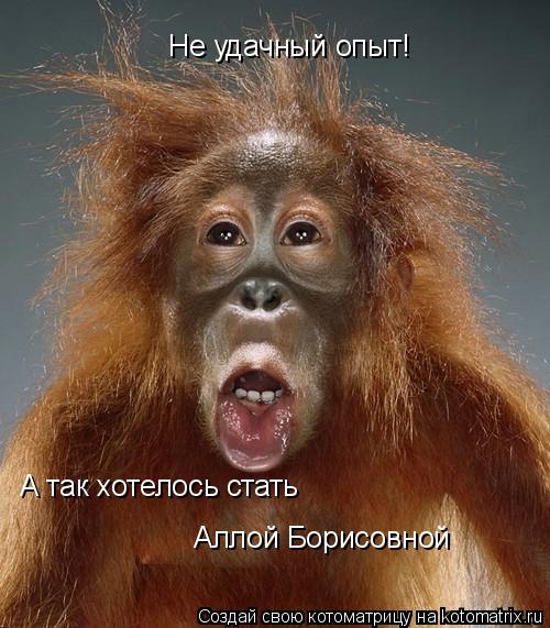 Не удачный опыт! А так хотелось стать Аллой Борисовной... Котоматрица: Не удачный опыт! А так хотелось стать Аллой Борисовной