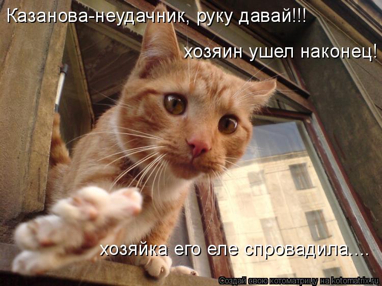 Котоматрица: хозяин ушел наконец! хозяйка его еле спровадила.... Казанова-неудачник, руку давай!!!