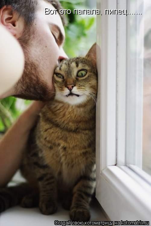 Вот это папала, пипец.......... Котоматрица: Вот это папала, пипец.......