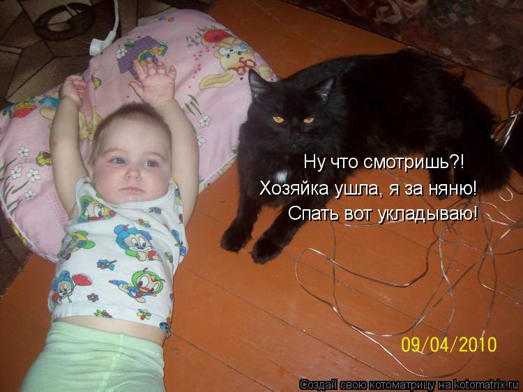 Ну что смотришь?! Хозяйка ушла, я за няню! Спать вот укладываю!... Котоматрица: Ну что смотришь?! Хозяйка ушла, я за няню! Спать вот укладываю!