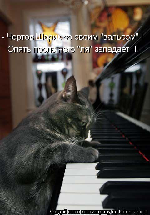 Опять после него "ля" западает !!! - Чертов Шарик со своим "вальсом" !... Котоматрица: Опять после него "ля" западает !!! - Чертов Шарик со своим "вальсом" !