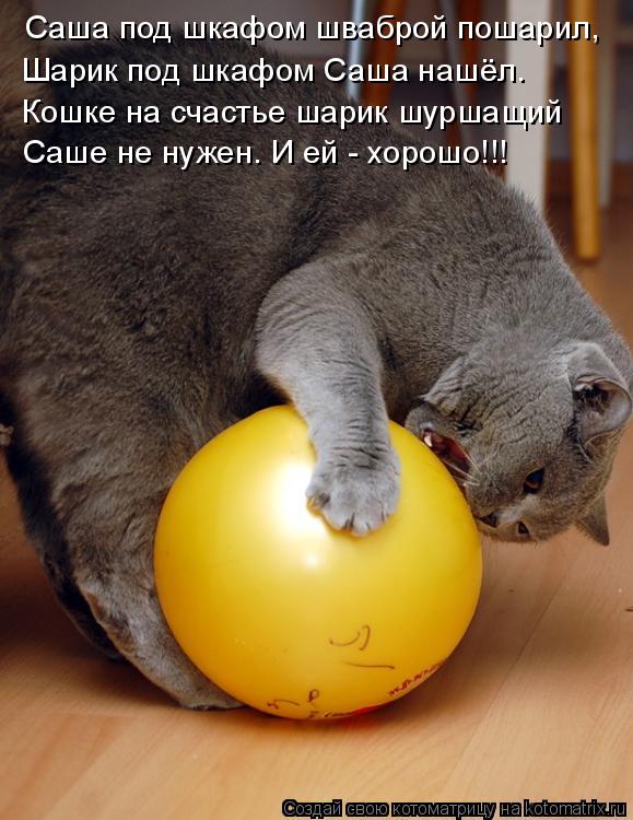 Котоматрица: Саша под шкафом шваброй пошарил,  Шарик под шкафом Саша нашёл. Кошке на счастье шарик шуршащий  Саше не нужен. И ей - хорошо!!!